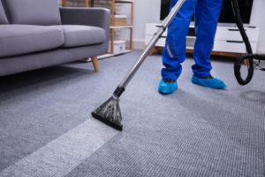 Carpets professionally cleaned with steam powered cleaning technology